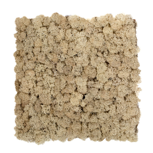 TXB-0102 Beige moss