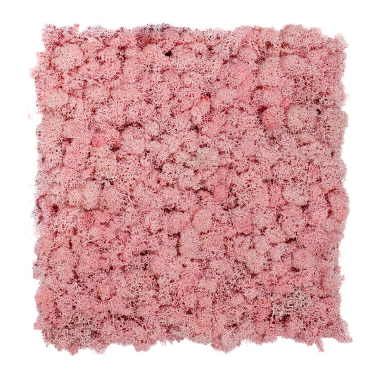 TXB-0203 Pink moss