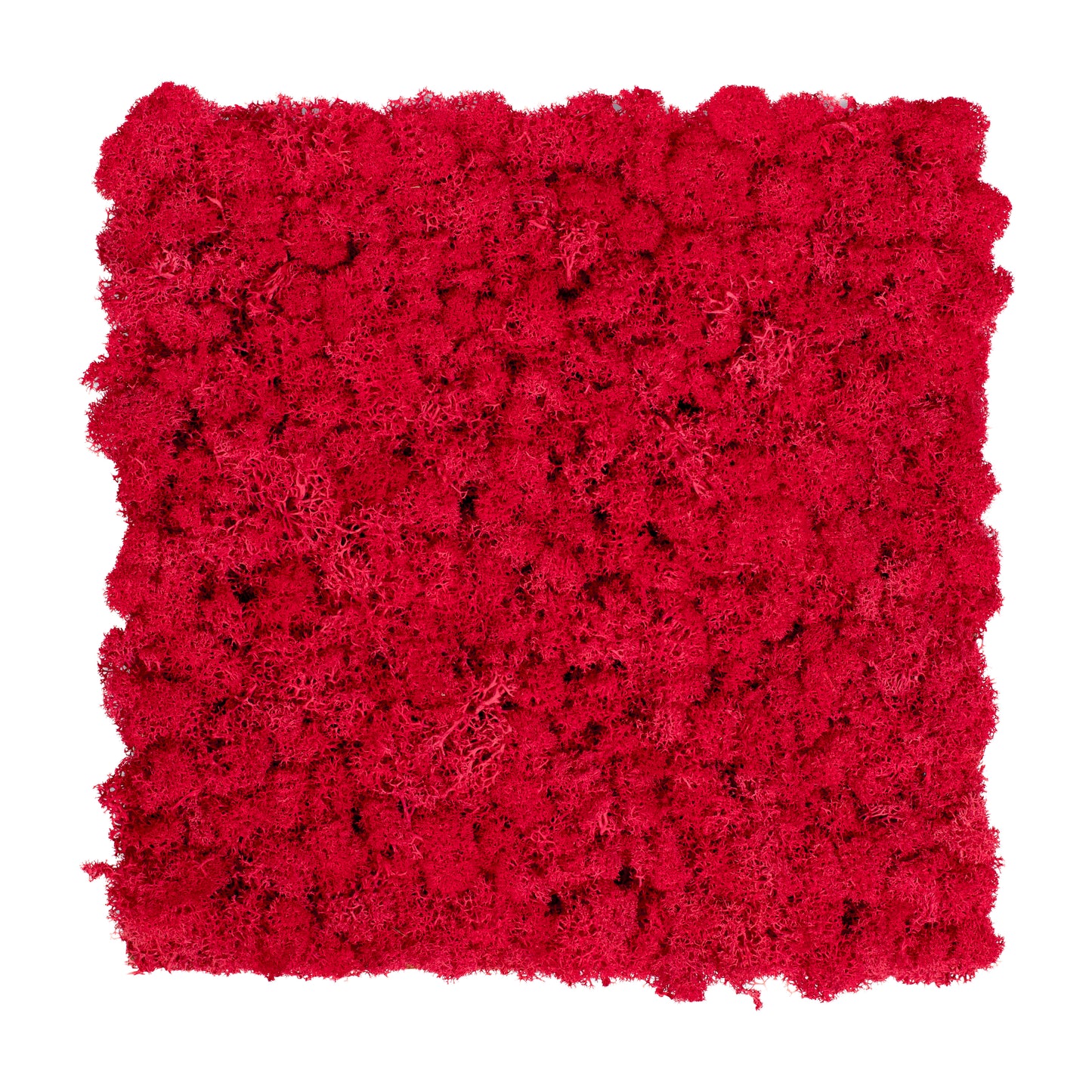 TXB-0301 Light red moss