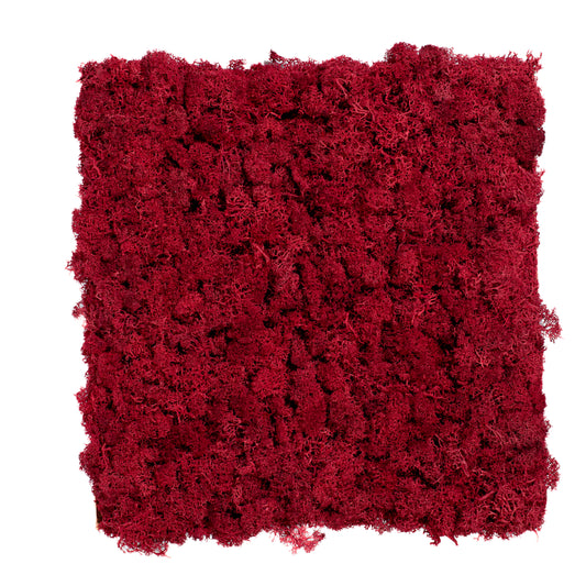 TXB-0311 Dark red moss