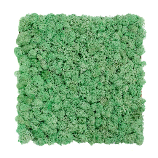 TXB-0601 Aqua green moss