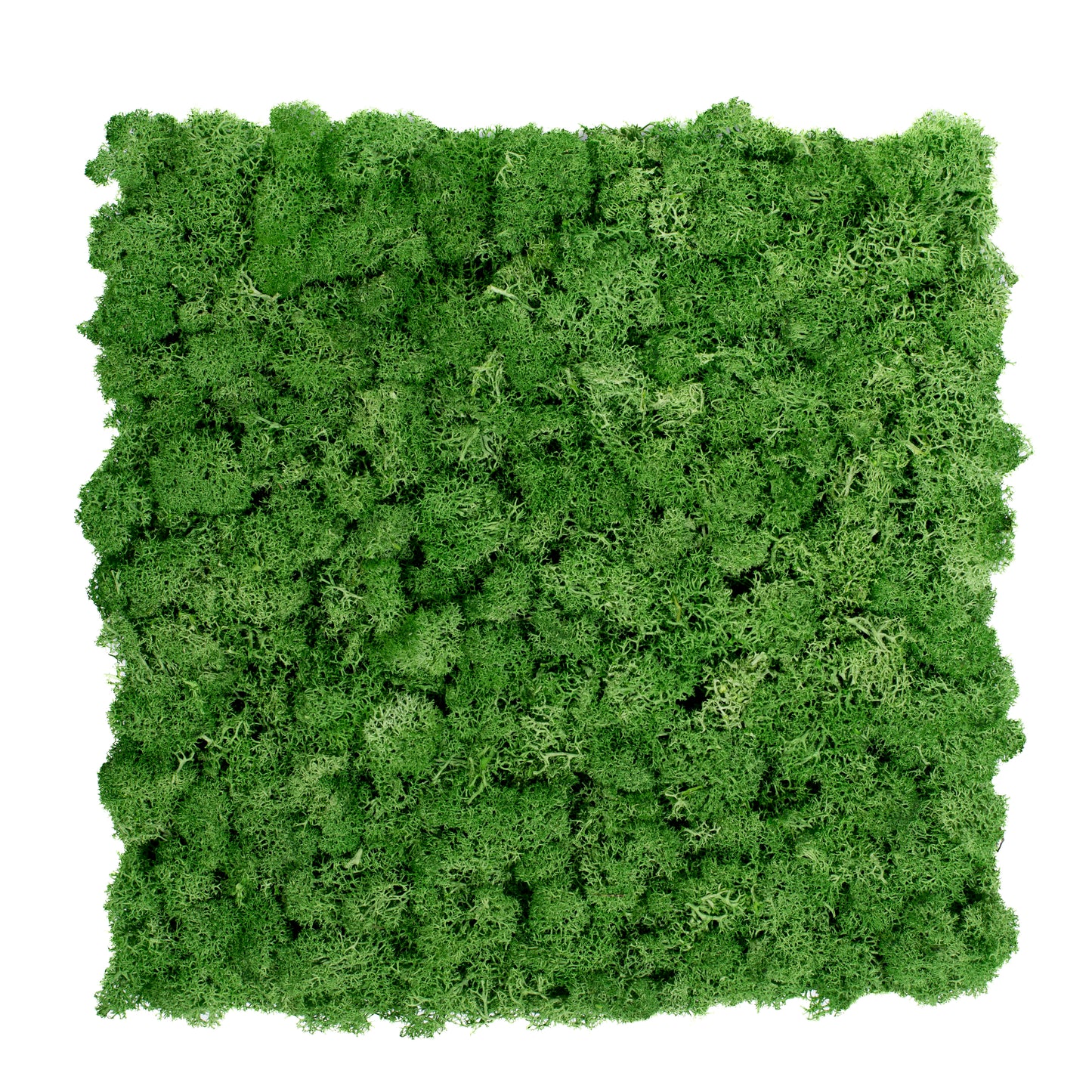 TXB-0602 Deep green moss