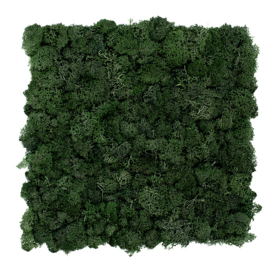 TXB-0605 Forest green moss