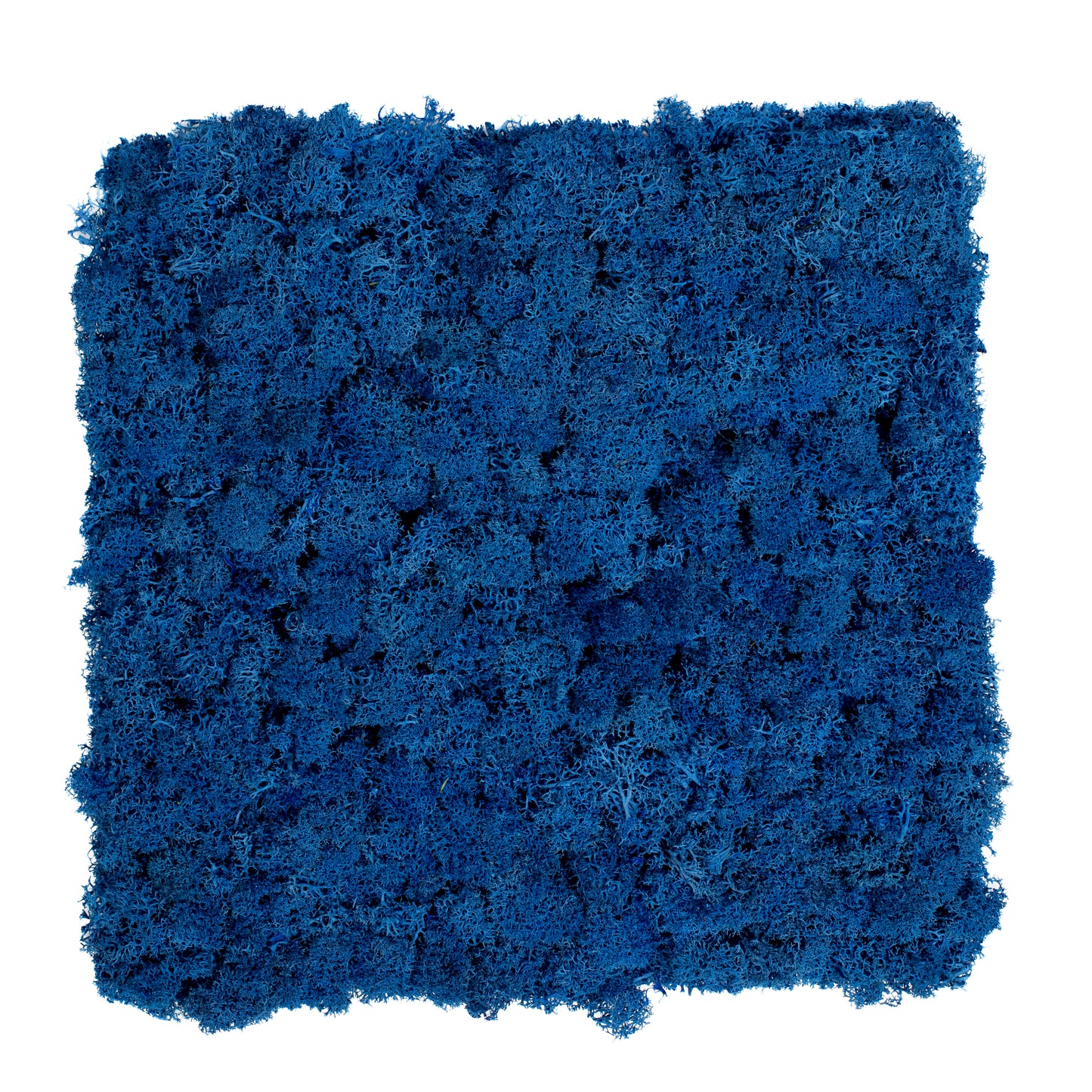 TXB-0704 Blue moss