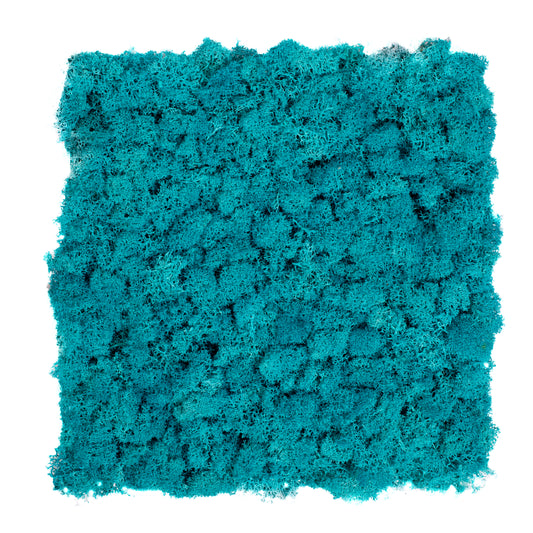 TXB-0708 Light blue moss