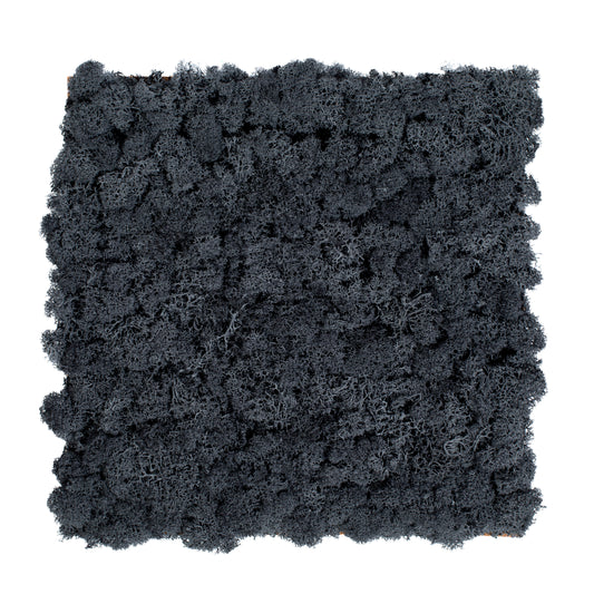 TXB-0801 Anthracite moss