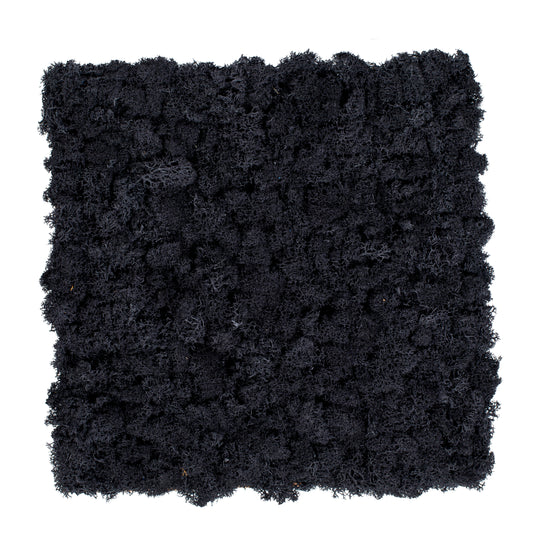 TXB-0802 Black moss