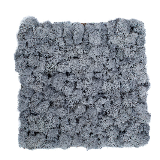 TXB-0812 Light gray moss